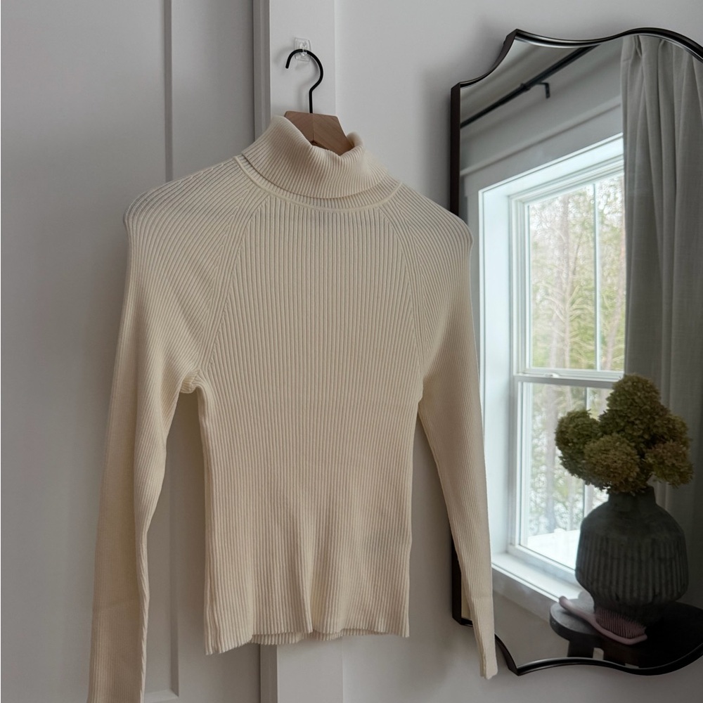 Banana Republic Ribbed Turtleneck Sweater